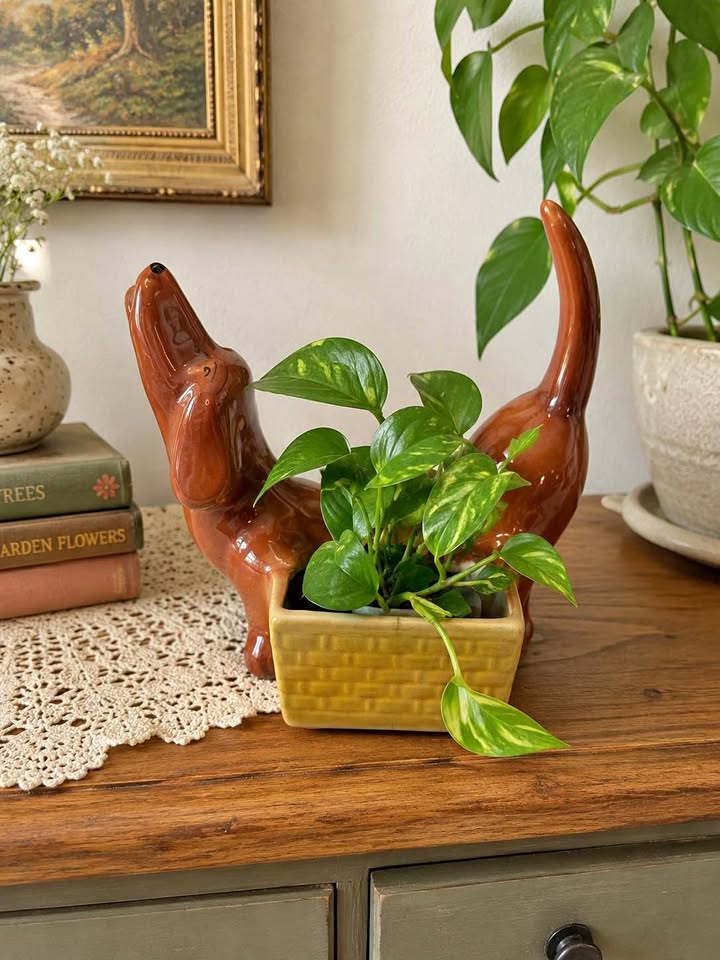 Vintage 1950s Ceramic Dachshund Dog Planter